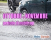 immagine articolo immagine articolo