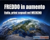 immagine articolo immagine articolo