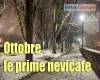 immagine articolo immagine articolo