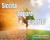 immagine articolo immagine articolo