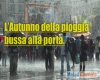 immagine articolo immagine articolo