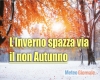 immagine articolo immagine articolo