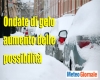 immagine articolo immagine articolo