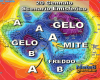 immagine articolo immagine articolo