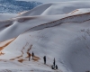 immagine articolo immagine articolo