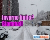 immagine articolo immagine articolo