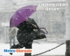 immagine articolo immagine articolo