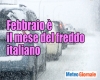 immagine articolo immagine articolo