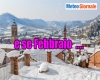 immagine articolo immagine articolo