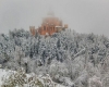 immagine articolo immagine articolo
