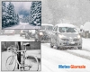 immagine articolo immagine articolo