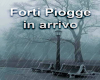 immagine articolo immagine articolo