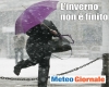 immagine articolo immagine articolo