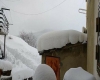 immagine articolo immagine articolo