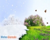 immagine articolo immagine articolo