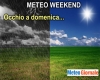 immagine articolo immagine articolo