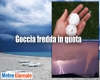 immagine articolo immagine articolo