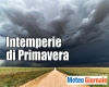 immagine articolo immagine articolo