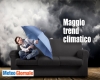 immagine articolo immagine articolo