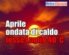 immagine articolo immagine articolo