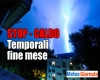 immagine articolo immagine articolo