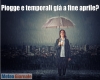 immagine articolo immagine articolo