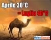 immagine articolo immagine articolo