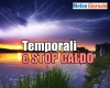 immagine articolo immagine articolo