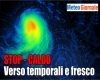 immagine articolo immagine articolo