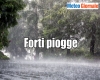 immagine articolo immagine articolo