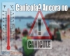 immagine articolo immagine articolo