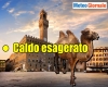 immagine articolo immagine articolo