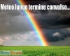 immagine articolo immagine articolo