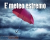 immagine articolo immagine articolo