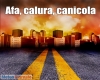 immagine articolo immagine articolo