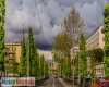 immagine articolo immagine articolo