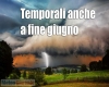 immagine articolo immagine articolo