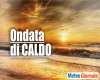 immagine articolo immagine articolo