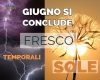 immagine articolo immagine articolo