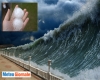 immagine articolo immagine articolo