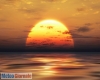 immagine articolo immagine articolo
