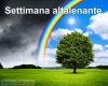 immagine articolo immagine articolo