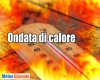 immagine articolo immagine articolo