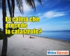 immagine articolo immagine articolo