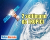 immagine articolo immagine articolo