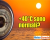 immagine articolo immagine articolo