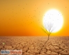 immagine articolo immagine articolo