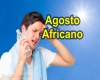 immagine articolo immagine articolo