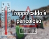immagine articolo immagine articolo