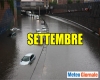immagine articolo immagine articolo